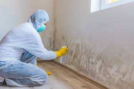 Why You Should Choose Our Mold Remediation Services in Hyde, PA